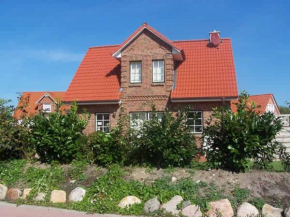Strandrose in Schönberg / Holstein